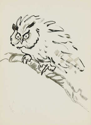 Гальба Владимир Александрович. Сова